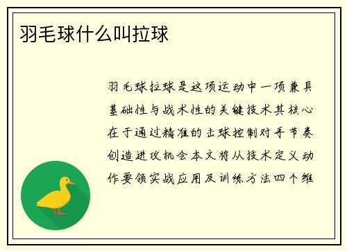 羽毛球什么叫拉球